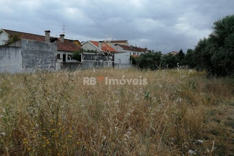 Terra a Atalaia, Santarem, Atalaia - € 200.000 | Ref: 01280-24 - foto 6