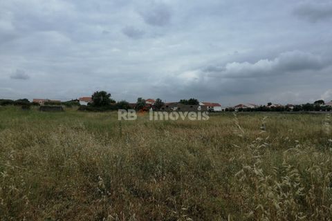 Terra a Atalaia, Santarem, Atalaia - € 200.000 | Ref: 01280-24 - foto 7
