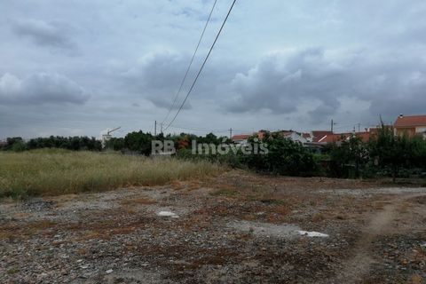 Terra a Atalaia, Santarem, Atalaia - € 200.000 | Ref: 01280-24 - foto 8