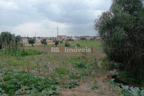 Terra a Atalaia, Santarem, Atalaia - € 200.000 | Ref: 01280-24 - foto 9