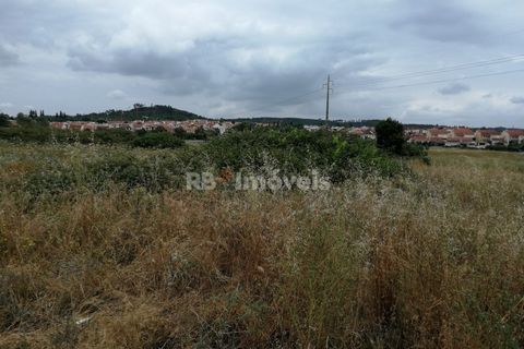 Terra a Atalaia, Santarem, Atalaia - € 200.000 | Ref: 01280-24 - foto 10