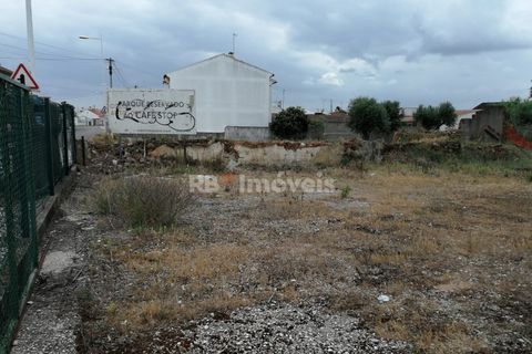 Terra a Atalaia, Santarem, Atalaia - € 70.000 | Ref: 01278-24 - foto 2