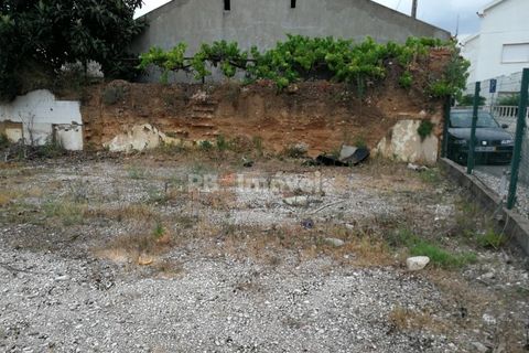 Terra a Atalaia, Santarem, Atalaia - € 70.000 | Ref: 01278-24 - foto 3