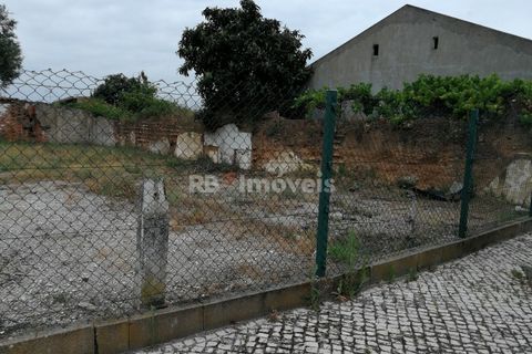 Terra a Atalaia, Santarem, Atalaia - € 70.000 | Ref: 01278-24 - foto 4