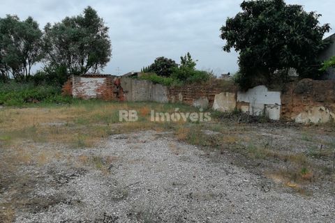 Terra a Atalaia, Santarem, Atalaia - € 70.000 | Ref: 01278-24 - foto 5