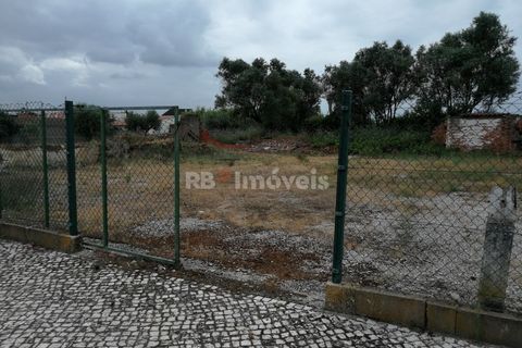 Terra a Atalaia, Santarem, Atalaia - € 70.000 | Ref: 01278-24 - foto 6