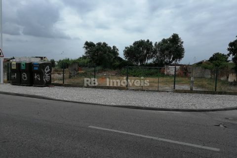 Terra a Atalaia, Santarem, Atalaia - € 70.000 | Ref: 01278-24 - foto 7