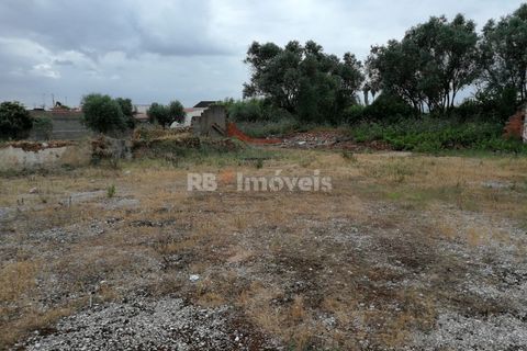 Terra a Atalaia, Santarem, Atalaia - € 70.000 | Ref: 01278-24 - foto 8