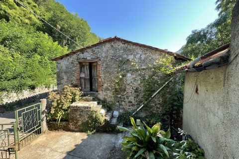 Landejendom i Barga, Lucca, Barga - € 99.000 | Ref: APS-1518 - foto 7