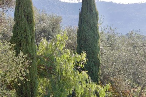 Villa a Perinaldo, Imperia, Perinaldo - € 995.000 | Ref: E299 - foto 11