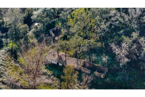 Landejendom i Odeceixe, Faro, Odeceixe - € 350.000 | Ref: #003 - foto 2