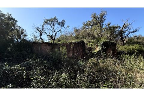 Landejendom i Odeceixe, Faro, Odeceixe - € 350.000 | Ref: #003 - foto 12