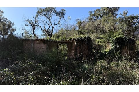 Landejendom i Odeceixe, Faro, Odeceixe - € 350.000 | Ref: #003 - foto 13