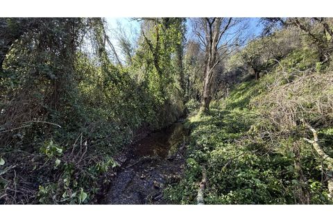 Landejendom i Odeceixe, Faro, Odeceixe - € 350.000 | Ref: #003 - foto 18