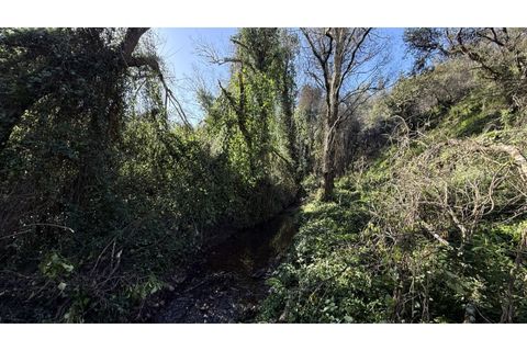 Landejendom i Odeceixe, Faro, Odeceixe - € 350.000 | Ref: #003 - foto 19