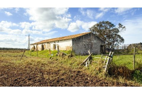 Landejendom i Odeceixe, Faro, Odeceixe - € 850.000 | Ref: #007 - foto 5