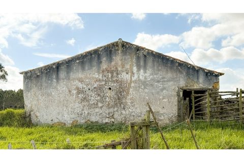 Landejendom i Odeceixe, Faro, Odeceixe - € 850.000 | Ref: #007 - foto 6