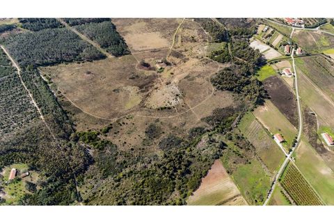 Landejendom i Odeceixe, Faro, Odeceixe - € 850.000 | Ref: #007 - foto 10