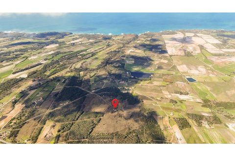 Landejendom i Odeceixe, Faro, Odeceixe - € 850.000 | Ref: #007 - foto 14