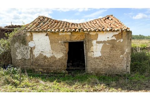 Landejendom i Odeceixe, Faro, Odeceixe - € 850.000 | Ref: #007 - foto 17