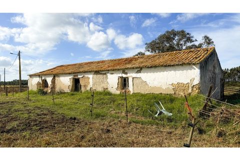 Landejendom i Odeceixe, Faro, Odeceixe - € 850.000 | Ref: #007 - foto 20