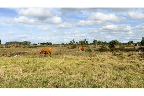 Landejendom i Odeceixe, Faro, Odeceixe - € 850.000 | Ref: #007 - foto 21