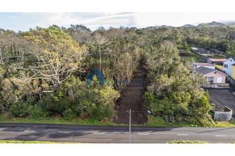 Terra a Candelaria, Pico, Candelaria - € 50.000 | Ref: AZO1-0221 - foto 3