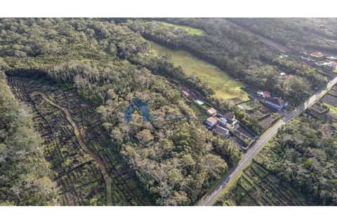 Terra a Candelaria, Pico, Candelaria - € 50.000 | Ref: AZO1-0221 - foto 4