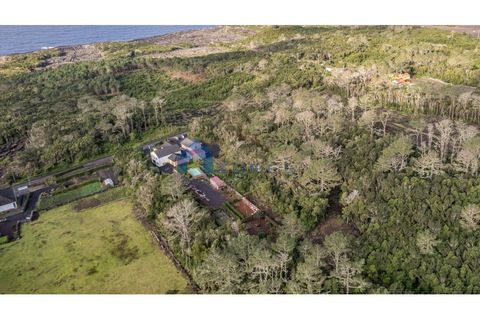 Terra a Candelaria, Pico, Candelaria - € 50.000 | Ref: AZO1-0221 - foto 5