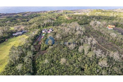 Terra a Candelaria, Pico, Candelaria - € 50.000 | Ref: AZO1-0221 - foto 6