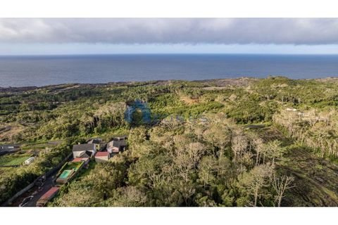 Terra a Candelaria, Pico, Candelaria - € 50.000 | Ref: AZO1-0221 - foto 7
