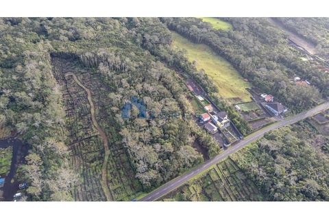 Terra a Candelaria, Pico, Candelaria - € 50.000 | Ref: AZO1-0221 - foto 8