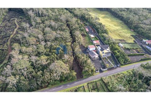 Terra a Candelaria, Pico, Candelaria - € 50.000 | Ref: AZO1-0221 - foto 9