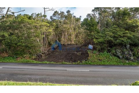 Terra a Candelaria, Pico, Candelaria - € 50.000 | Ref: AZO1-0221 - foto 10