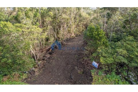 Terra a Candelaria, Pico, Candelaria - € 50.000 | Ref: AZO1-0221 - foto 12
