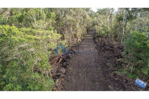 Terra a Candelaria, Pico, Candelaria - € 50.000 | Ref: AZO1-0221 - foto 13