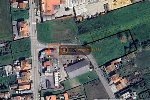 Helårsgrund i Estarreja, Aveiro, Estarreja - € 120.000 | Ref: Ni2053 - foto 1