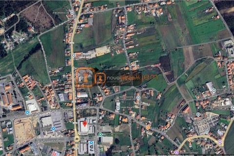 Helårsgrund i Estarreja, Aveiro, Estarreja - € 120.000 | Ref: Ni2053 - foto 2