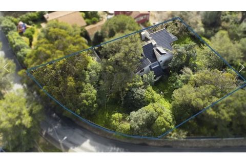 Villa i Cascais, Lisbon, Cascais - € 1.700.000 | Ref: CAS_69 - foto 4