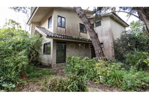 Villa i Cascais, Lisbon, Cascais - € 1.700.000 | Ref: CAS_69 - foto 2