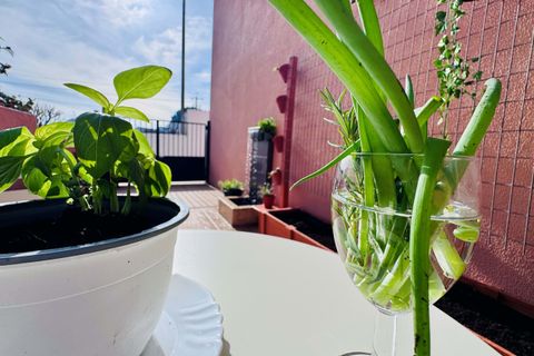 Villa i Asseiceira, Santarem, Asseiceira - € 350.000 | Ref: VCP422 - foto 31