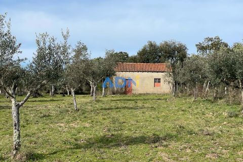 Terra a Ninho do Acor, Castelo Branco, Ninho do Acor - € 69.000 | Ref: 125006 - foto 2