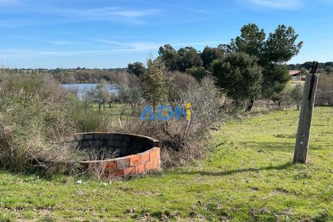 Terra a Ninho do Acor, Castelo Branco, Ninho do Acor - € 69.000 | Ref: 125006 - foto 3