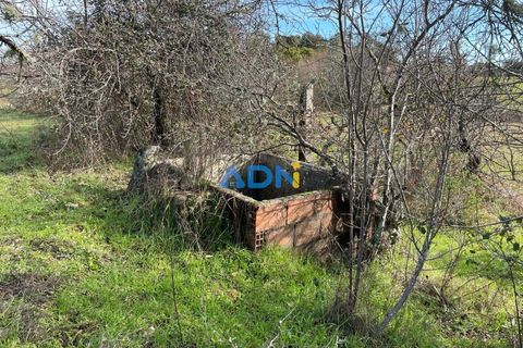 Terra a Ninho do Acor, Castelo Branco, Ninho do Acor - € 69.000 | Ref: 125006 - foto 5