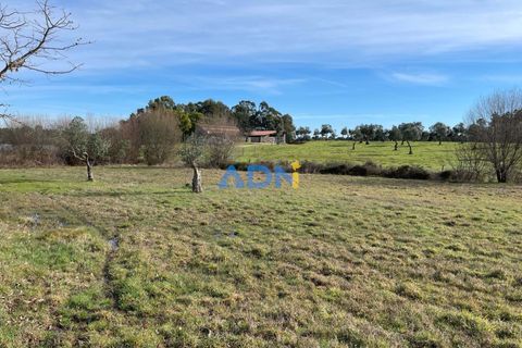 Terra a Ninho do Acor, Castelo Branco, Ninho do Acor - € 69.000 | Ref: 125006 - foto 6
