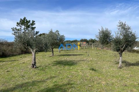 Terra a Ninho do Acor, Castelo Branco, Ninho do Acor - € 69.000 | Ref: 125006 - foto 8
