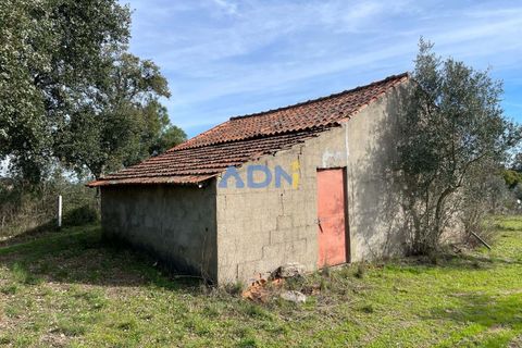 Terra a Ninho do Acor, Castelo Branco, Ninho do Acor - € 69.000 | Ref: 125006 - foto 9