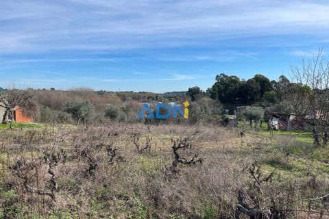 Terra a Ninho do Acor, Castelo Branco, Ninho do Acor - € 69.000 | Ref: 125006 - foto 10