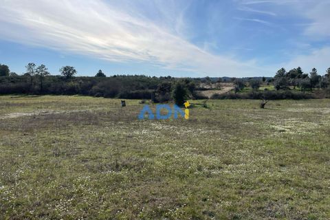 Terra a Ninho do Acor, Castelo Branco, Ninho do Acor - € 69.000 | Ref: 125006 - foto 12