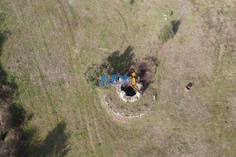 Terra a Ninho do Acor, Castelo Branco, Ninho do Acor - € 69.000 | Ref: 125006 - foto 16